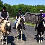 Kristen Fitzpatrick - Instagram Profile Picture of Kristen Fitzpatrick (@kmfitzpatrick1971) on Instagram