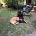 Profile Picture of Julia Michels (@julia.michels.583234) on Facebook