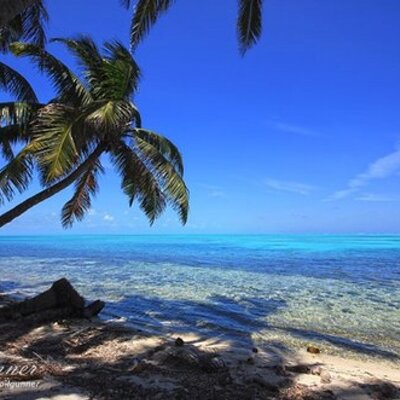 Profile Picture of Charles Chung (@sanggubang) on Twitter