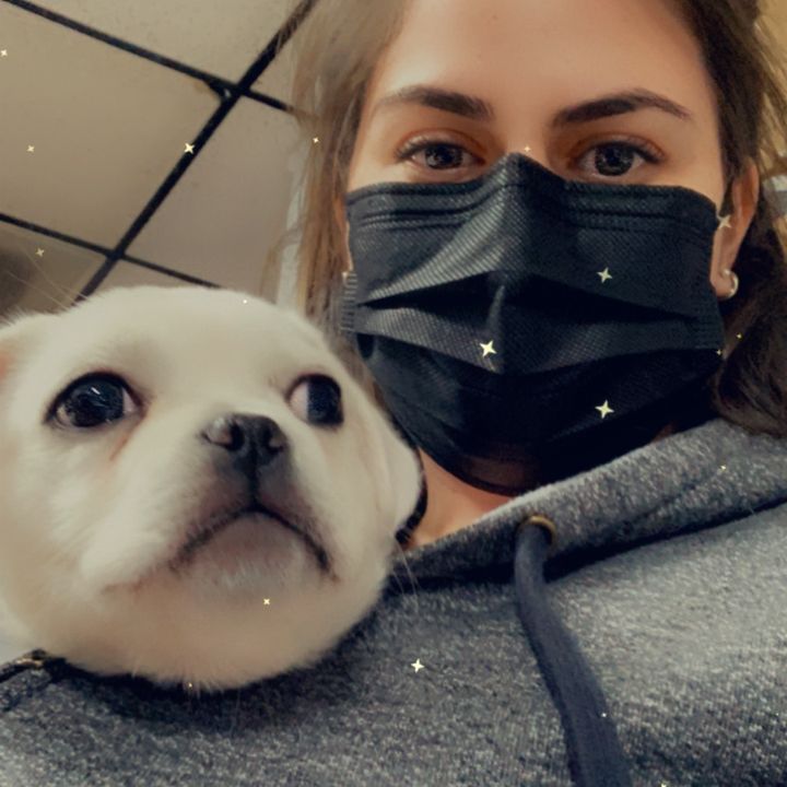 Profile Picture of Alex Apple (@allieapple78) on Tiktok