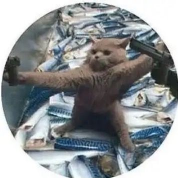 Profile Picture of Trinity Burgee (@trinityburge) on Tiktok