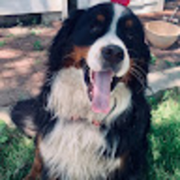 Profile Picture of Gage Byal (@gagebyal) on Poshmark