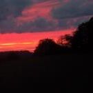 Profile Picture of Randall Bowser (@randybow) on Pinterest