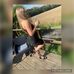 Profile Picture of Jessica Holton (@jessica.holton.37) on Facebook