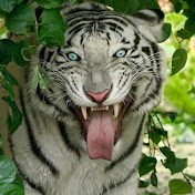 Profile Picture of Aaron Cain (@aaroncain7527) on Youtube