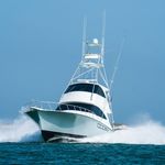 Profile Picture of Charter Boat Backlash - Destin Offshore Charters (@charterboatbacklash) on Instagram