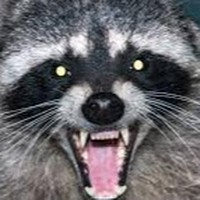 Profile Picture of Zer Lee (@zer-lee) on Quora