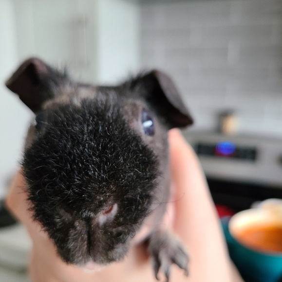 Profile Picture of Aaron Kruger (@akruger37) on Poshmark