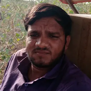 Profile Picture of gingoraraju007 (@gingoraraju007) on Tiktok