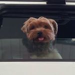 Profile Picture of Nathalie Mathey (@nathaliemathey) on Instagram