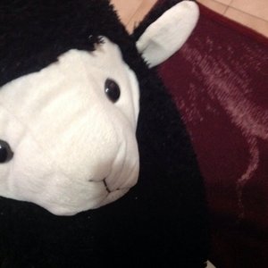 Profile Picture of Israel Zamudio (@ixxxzy) on Myspace