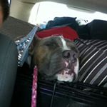 Profile Picture of Michael Cline (@michael__cline) on Instagram