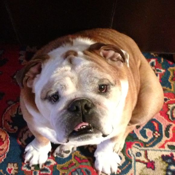 Profile Picture of Terry Landsman (@gardeningfool) on Poshmark