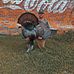 Profile Picture of Cody Clack (@cody.clack.7) on Facebook