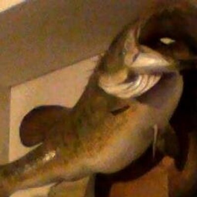 Profile Picture of Mike Asa Colin (@RevMikeNicholls) on Twitter