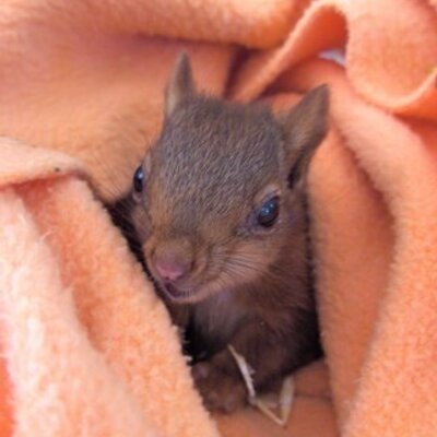 Profile Picture of Kristel Lepez (@KikiLepez) on Twitter