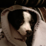 Profile Picture of Candace Duncan (@candykrank123) on Youtube