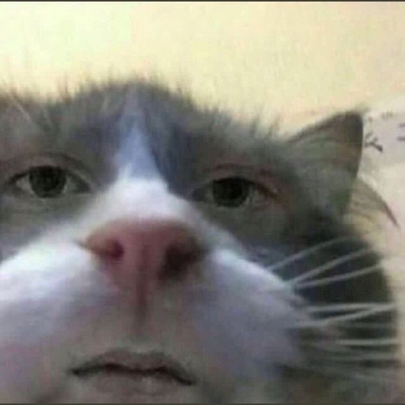 Profile Picture of Kammy Jungjohan (@kamjung) on Poshmark