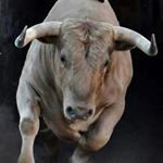 Profile Picture of Coyotepascualcampos (@pascual_campos_) on Instagram