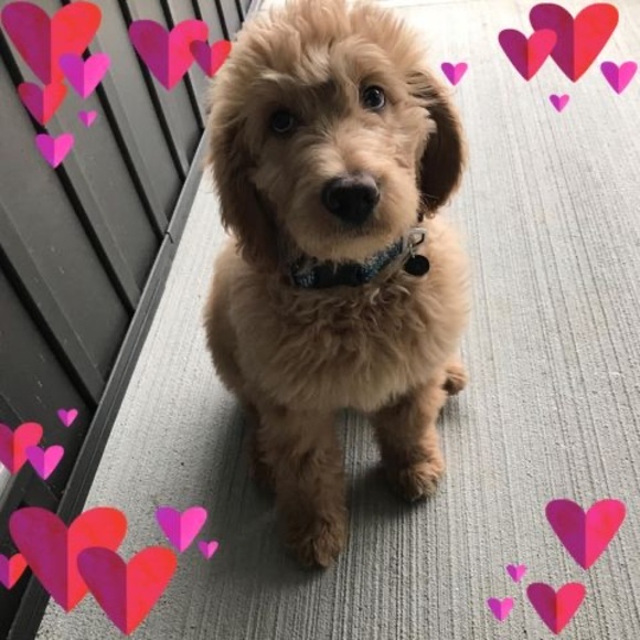 Profile Picture of Kimberly Slavinsky (@kslavinsky) on Poshmark