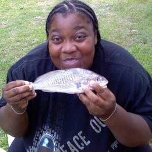 Ty Gardner - Myspace Profile Picture of Ty Gardner (@253902108) on Myspace