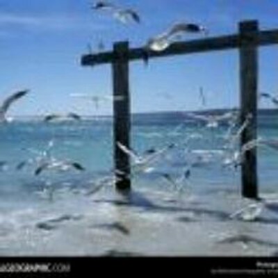 Profile Picture of Mike Possin (@conticardcar) on Twitter