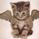 Profile Picture of doris villeda (@dorianas56) on Instagram