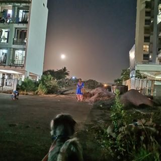 Profile Picture of Laxmi Pillai (@laxmi.pillai.1297) on Facebook