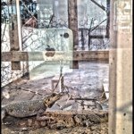 Profile Picture of Jorge Valerio VI 👑🎱 (@jorgevalerioo) on Instagram