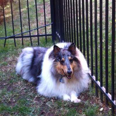 Profile Picture of Jean Steinman (@jean_molyneaux) on Twitter