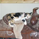 Profile Picture of Beverly Udell (@beverly.udell) on Facebook