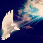 Profile Picture of sebouai (@maamer4884) on Instagram