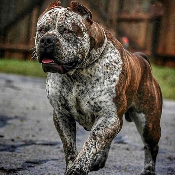 Profile Picture of Clint White (@clint___white) on Poshmark