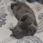 Profile Picture of Dave Cloutier (@dave.cloutier.773) on Instagram