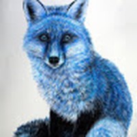Profile Picture of Dayton Bailey (@dayton-bailey-5) on Quora
