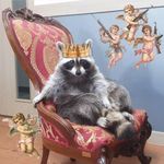 Profile Picture of Isaac Soto (@elcapitancaos) on Instagram