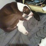 Profile Picture of Tony Tillman (@tony.tillman.184) on Instagram