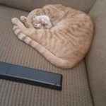 Profile Picture of Scott Larsen (@scott.larsen.5623293) on Instagram