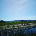 Profile Picture of jacob Paz (@jacobpaz_spam) on Instagram