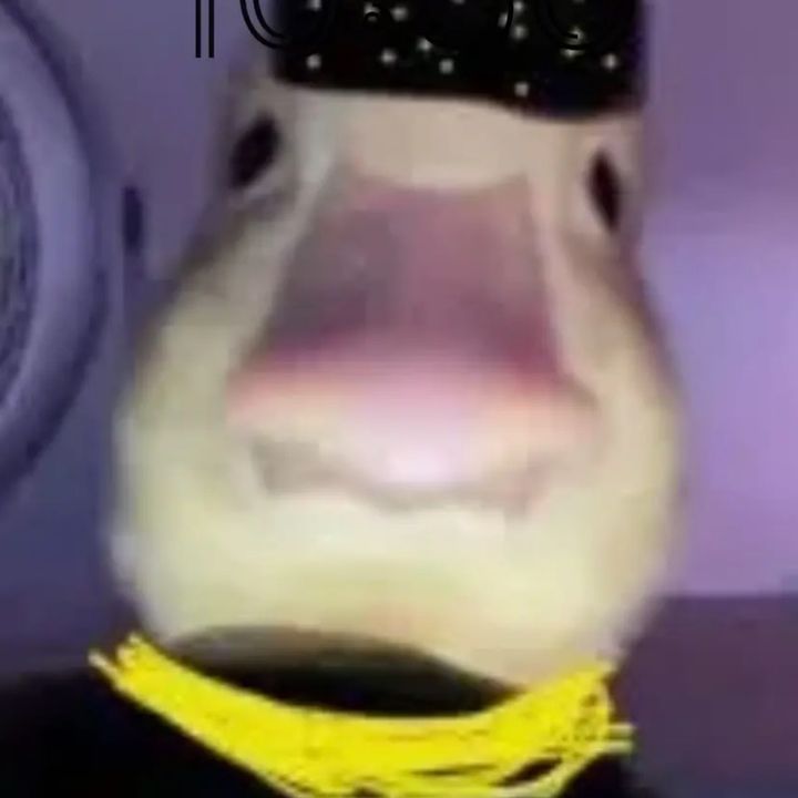 Profile Picture of Luis Sigala (@luissigala68) on Tiktok
