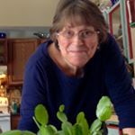 Profile Picture of Paula Tsiatsios Pierce (@paula_t_pierce_) on Instagram