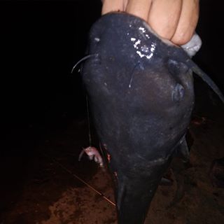 Profile Picture of Jason Dailey (@jason.dailey.127) on Facebook