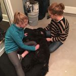 Profile Picture of Lori Herring (@mama_herring) on Instagram