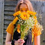 Sarah Walls - Instagram Profile Picture of Sarah Walls (@wallsyx) on Instagram