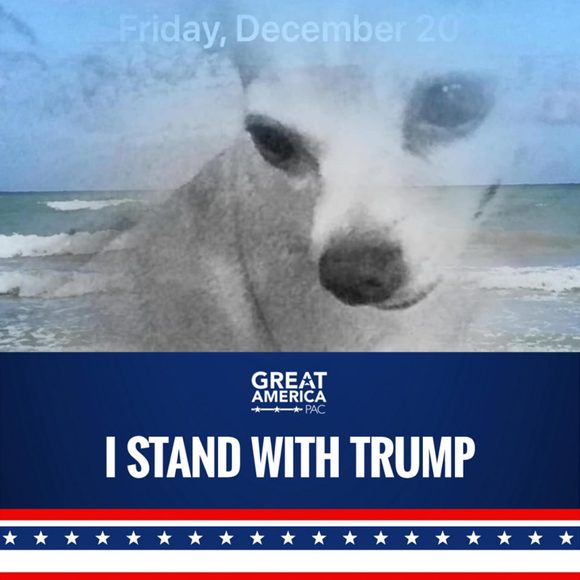 Profile Picture of Kitty Scott (@colinsicecream) on Poshmark