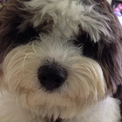 Profile Picture of Aimee Foster (@aimeefoster1971) on Twitter