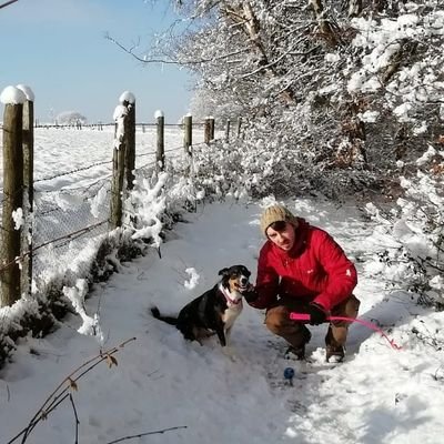 Profile Picture of Ciaran K (@CiaranEdKealy) on Twitter