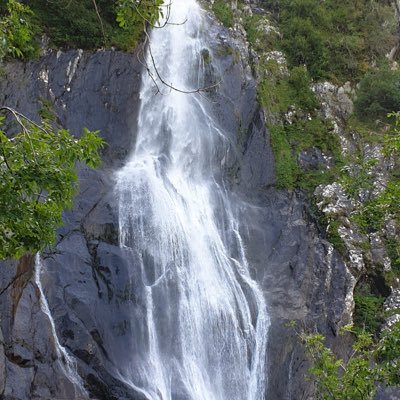 Profile Picture of Brian Howlett (@0507bh) on Twitter