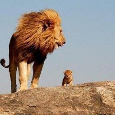 Profile Picture of Igor (@GjurovskiIgor) on Twitter
