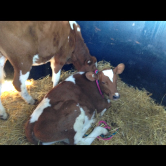 Profile Picture of Taylor Heinlen (@heintay1) on Poshmark